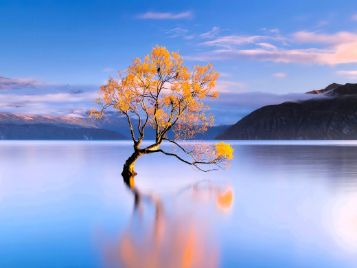 1756666 (a): :2050x1535